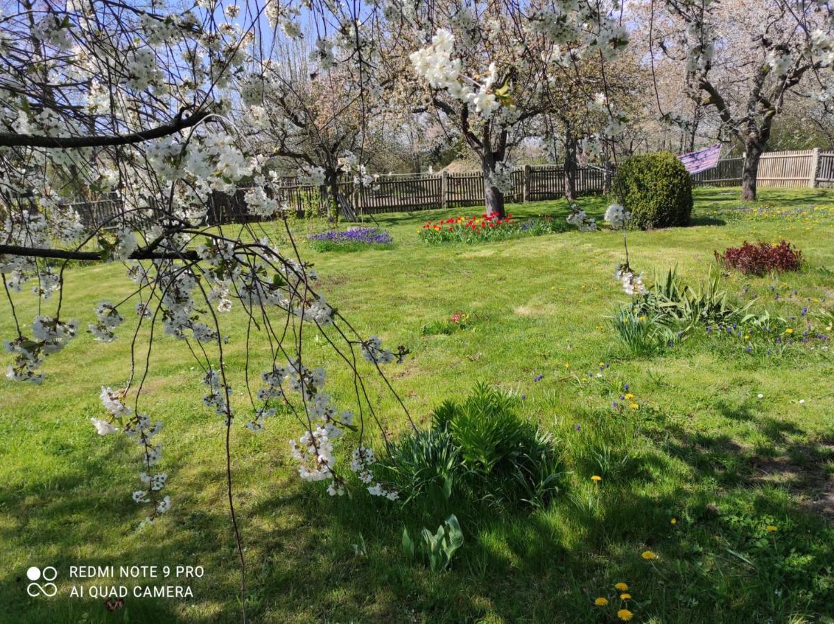 Ferienhaus Heider II Ilsenburg Luaran gambar